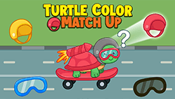 Turtle Color Match Up