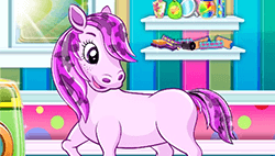 Pony Pet Salon