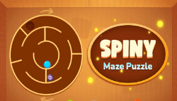 Spiny maze puzzle