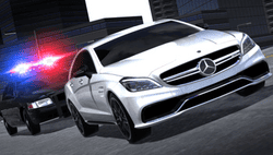 Need For Speed: Police Pursuit