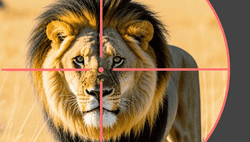 Wildlife: Africa Hunting 3D